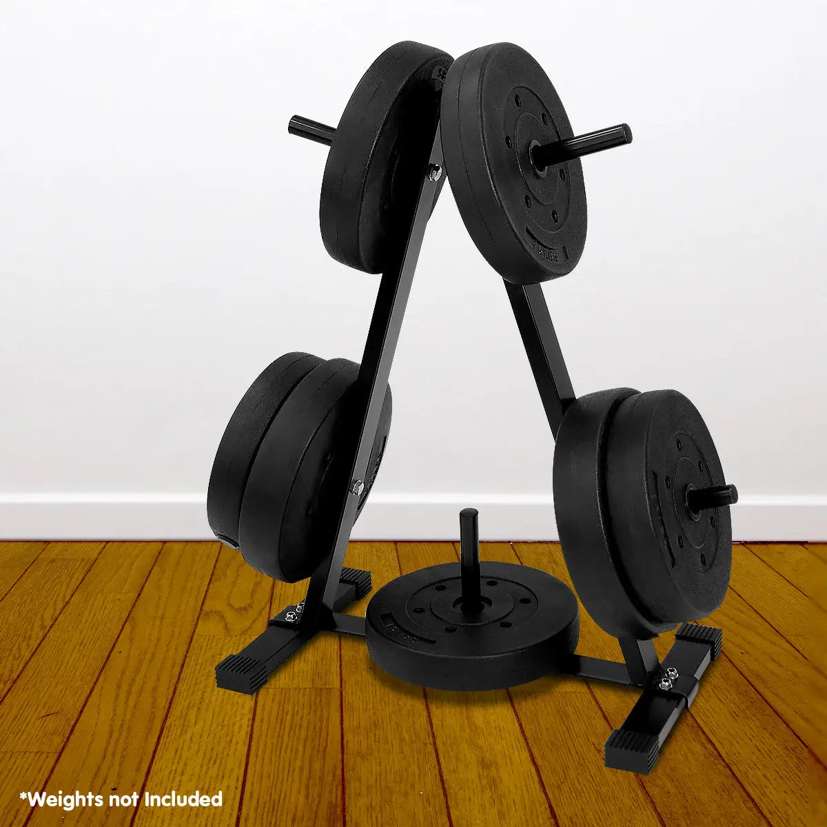 Powertrain Weight Plates Storage Home Gym Rack Build Your Strength