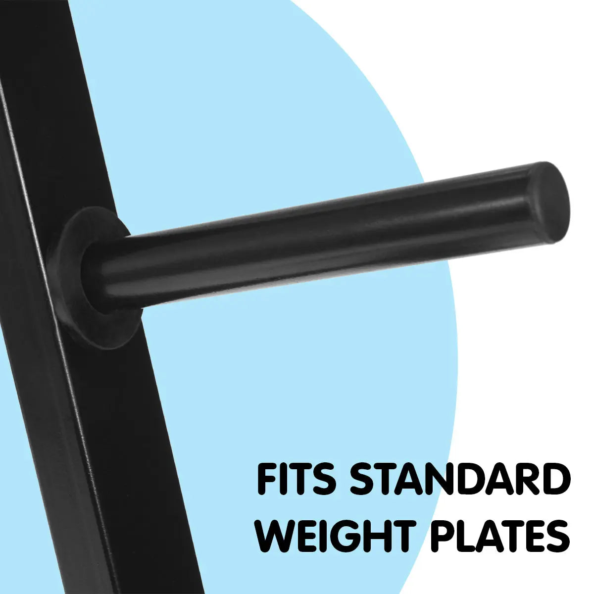 Powertrain Weight Plates Storage Home Gym Rack Build Your Strength