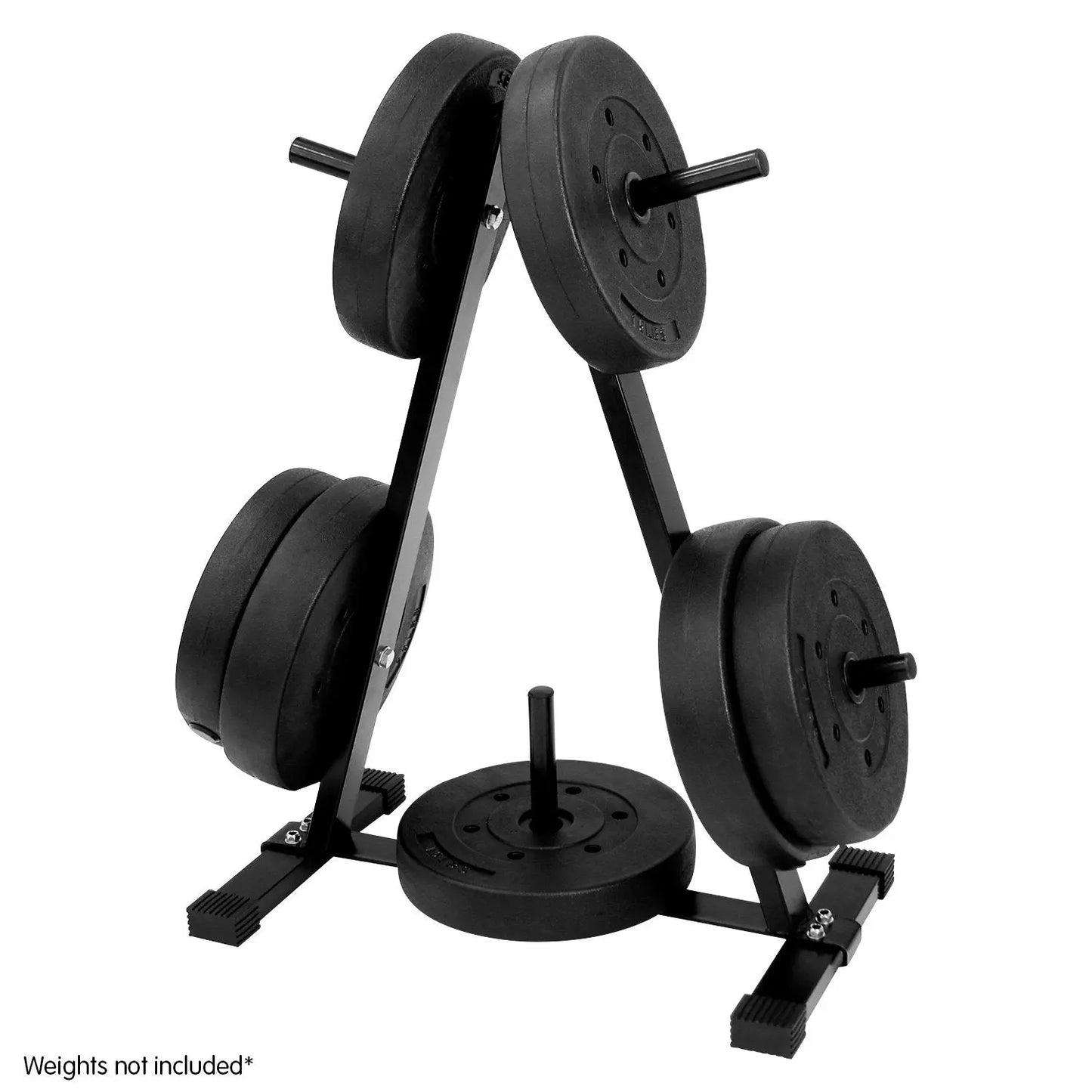 Powertrain Weight Plates Storage Home Gym Rack Build Your Strength